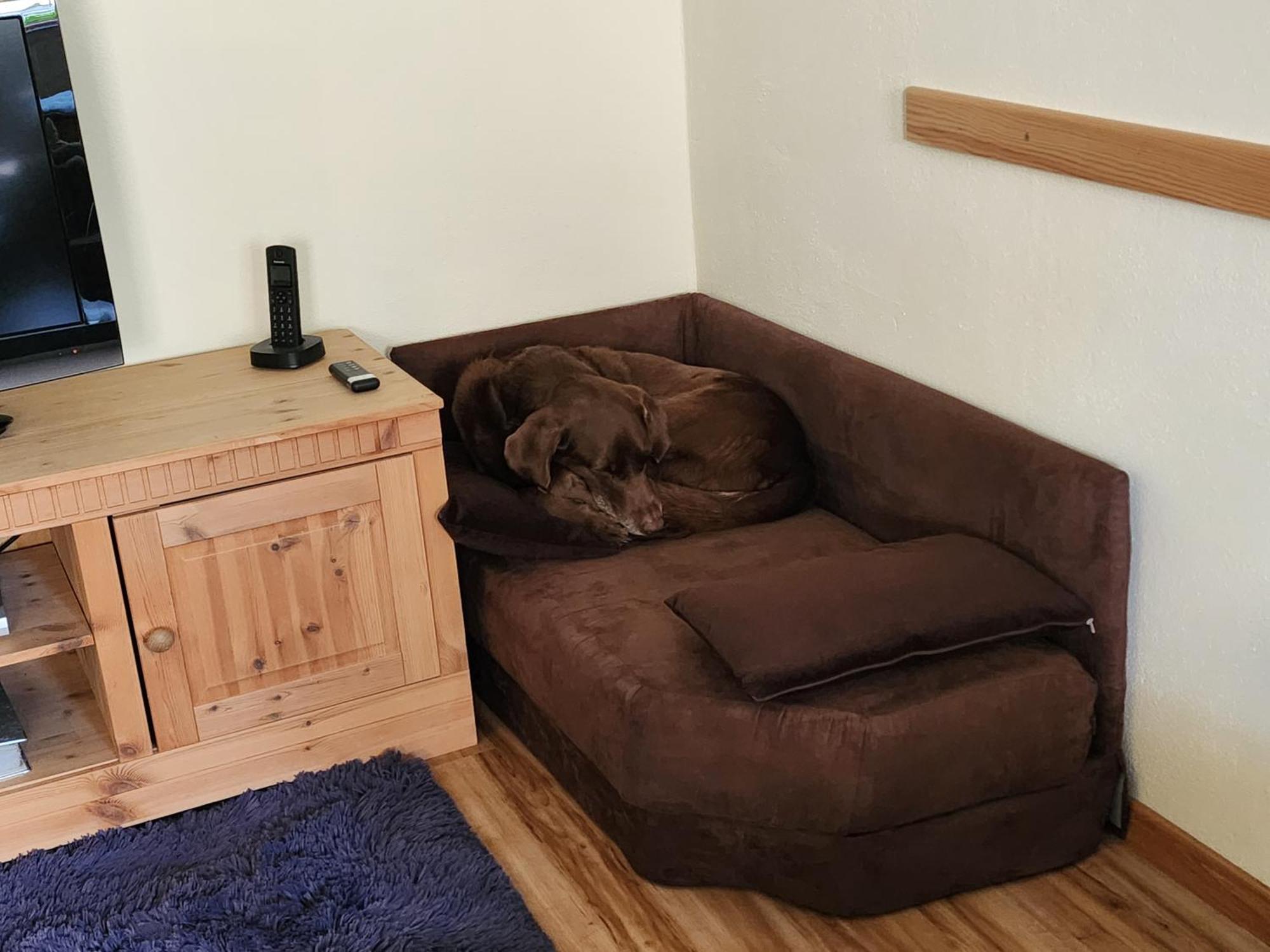 Ferienwohnung Baer Vohenstrauss Extérieur photo